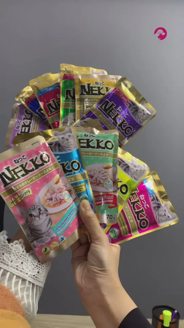 c024e722f9384a71acd2e31b4527e7a3.thumbnail.0000000000