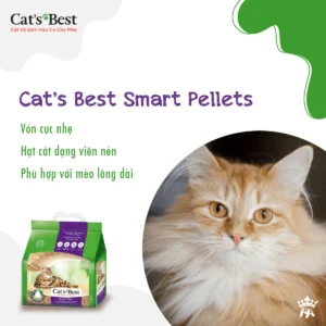 cat go cat s best smart pellets von cuc cho meo long dai paddy 4