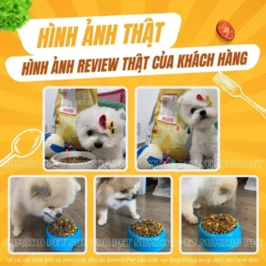 Chính vì vậy, việc lựa chọn thức ăn cho thú cưng luôn là vấn đề được nhiều người nuôi quan tâm hàng đầu, việc lựa chọn thức ăn không chỉ giúp chó mèo nhà bạn khỏe mạnh mà.