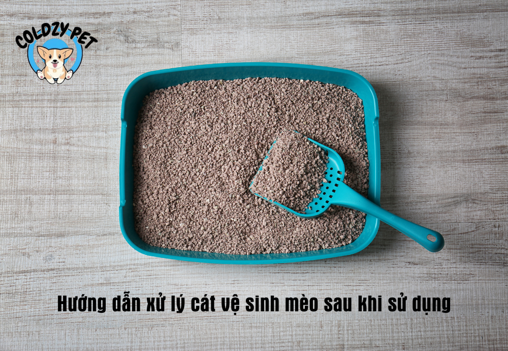 Cách Xử Lý Cát Mèo Đã Qua Sử Dụng An Toàn, Hiệu Quả